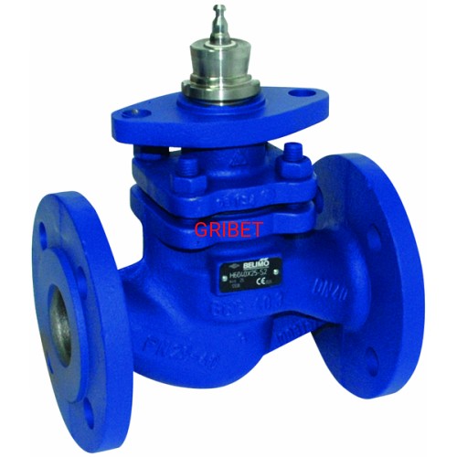 H6100X125-SP2 ZAWÓR GRZYBKOWY BELIMO.jpg
