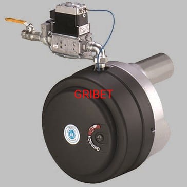 PALNIK RG20 GIERSCH.jpg